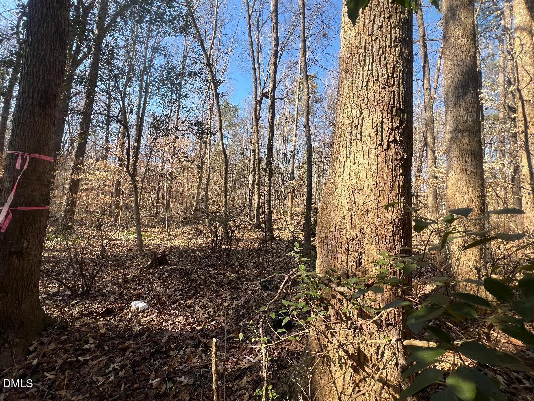 1000 Cross Link Road Raleigh, NC 27610 - Photo 12 of 34 thumbnail-18