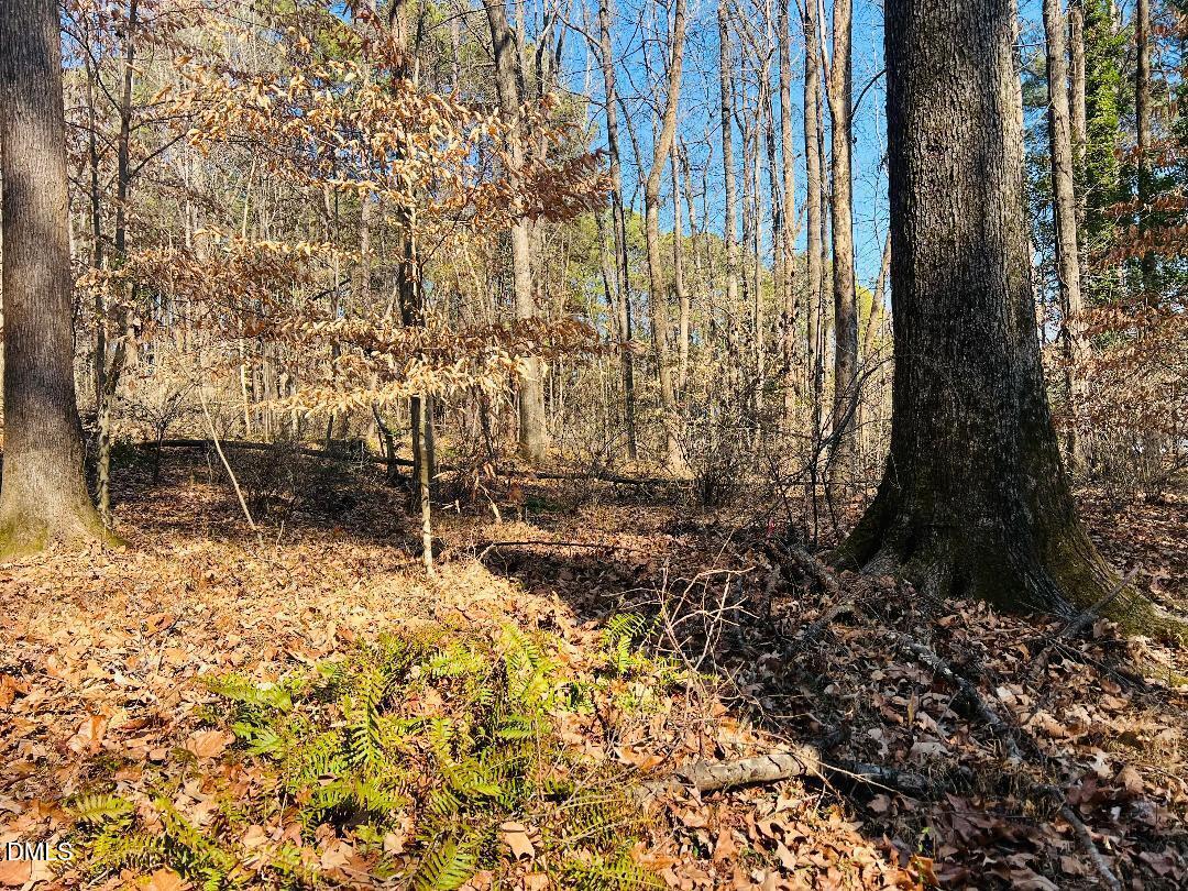 1000 Cross Link Road Raleigh, NC 27610 - Photo 15 of 34 thumbnail-29