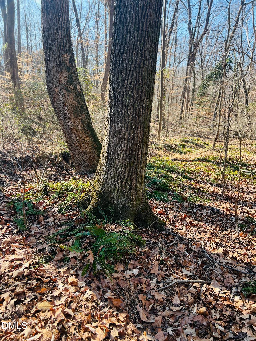 1000 Cross Link Road Raleigh, NC 27610 - Photo 17 of 34 thumbnail-34