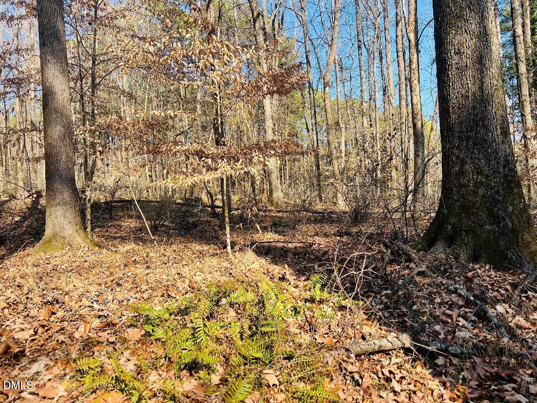 1000 Cross Link Road Raleigh, NC 27610 - Photo 20 of 34 thumbnail-41