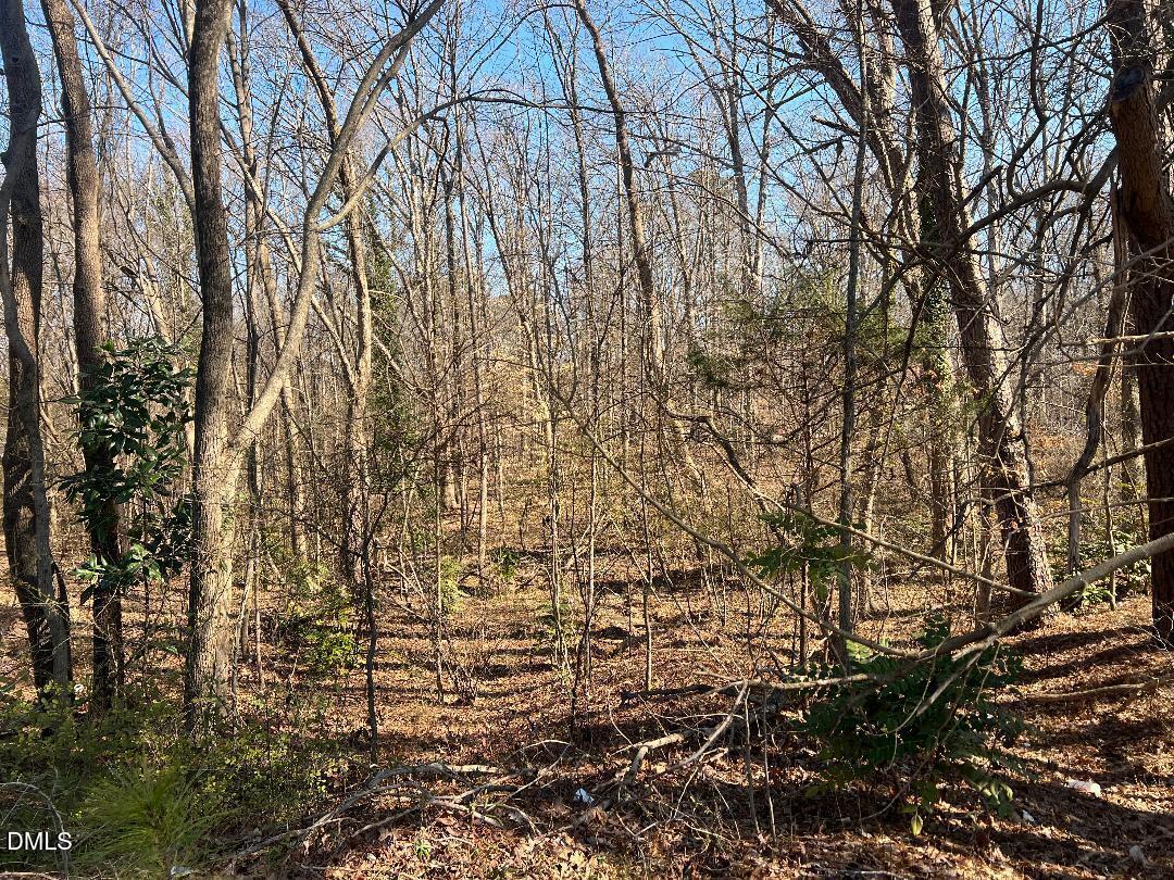 1000 Cross Link Road Raleigh, NC 27610 - Photo 2 of 34 thumbnail-7