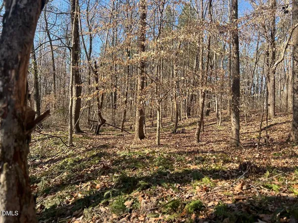 $3,500,000 | 1000 Cross Link Road, Raleigh, NC 27610