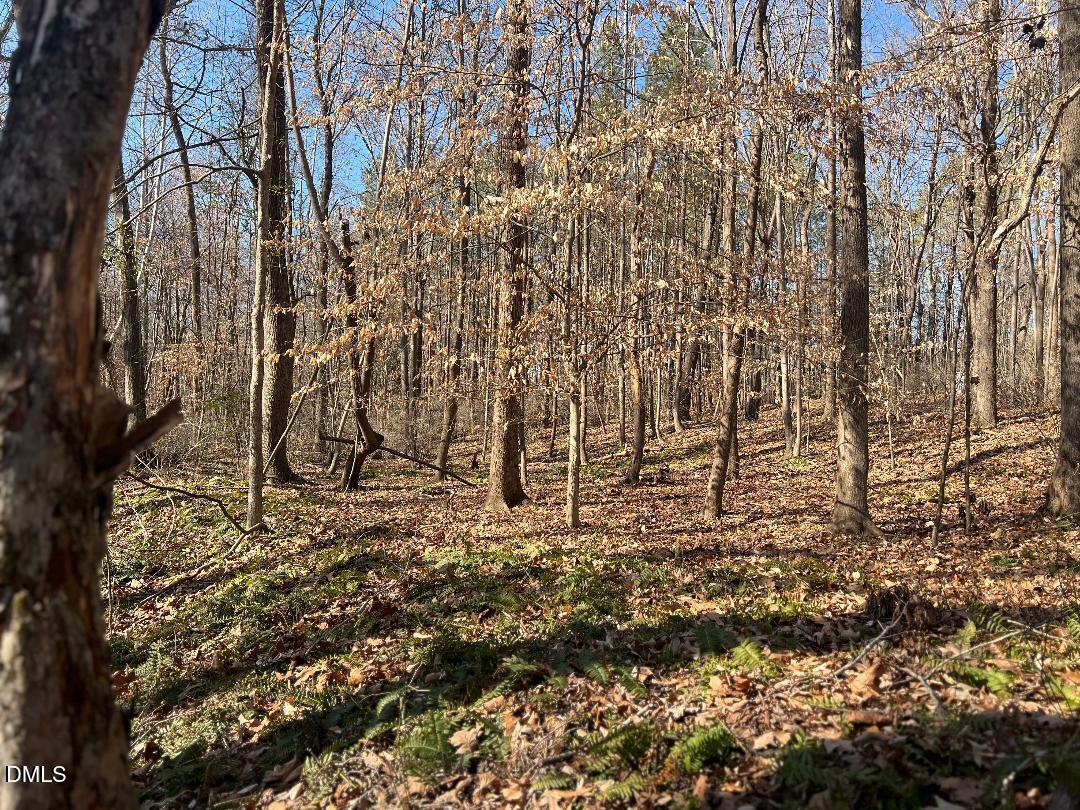 1000 Cross Link Road Raleigh, NC 27610 - Photo 21 of 34 thumbnail-43