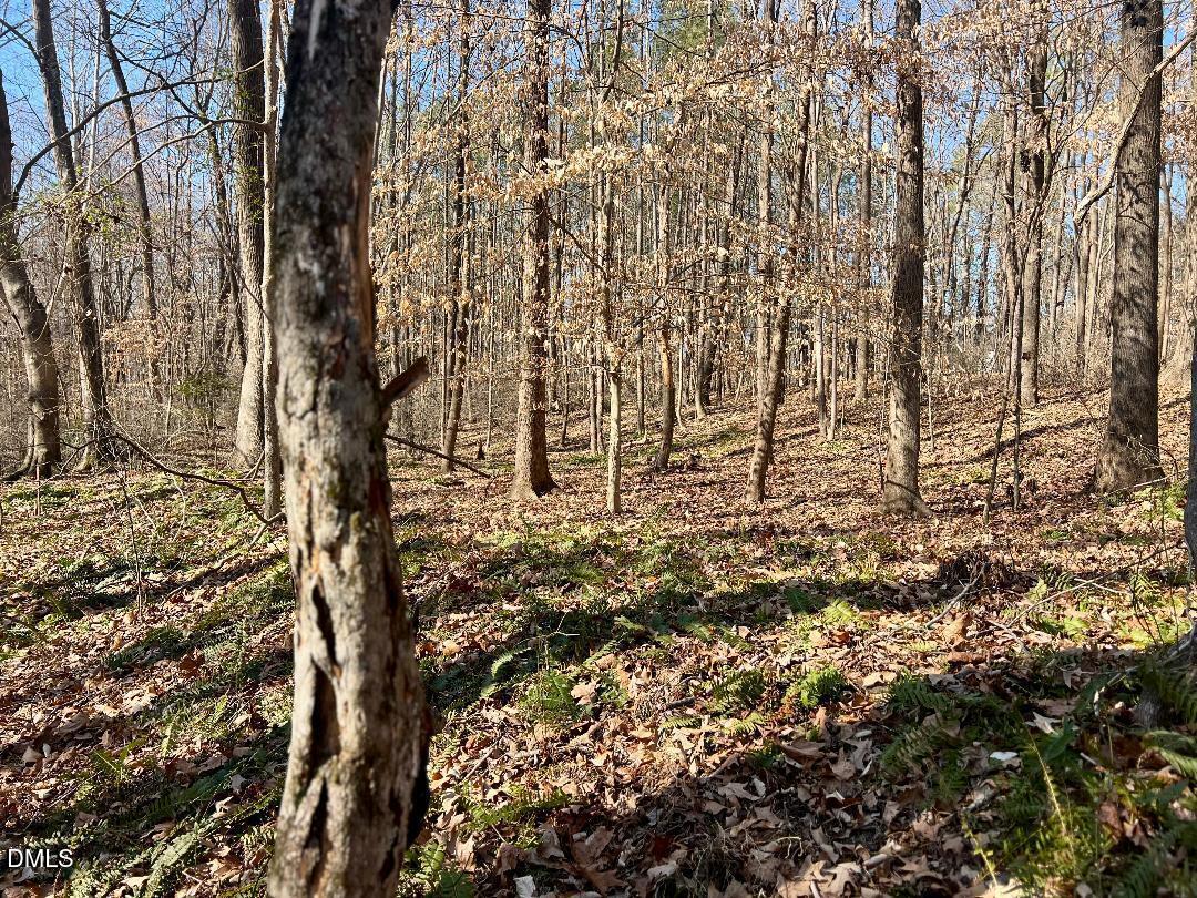 1000 Cross Link Road Raleigh, NC 27610 - Photo 23 of 34 thumbnail-44