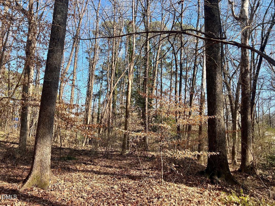 1000 Cross Link Road Raleigh, NC 27610 - Photo 25 of 34 thumbnail-46