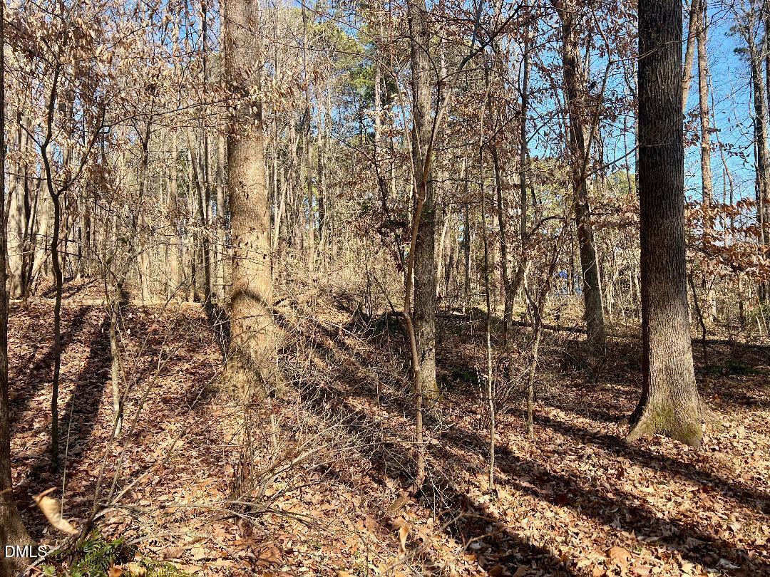 1000 Cross Link Road Raleigh, NC 27610 - Photo 26 of 34 thumbnail-47