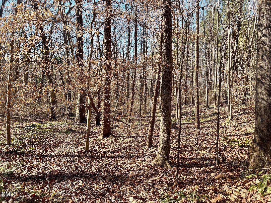 1000 Cross Link Road Raleigh, NC 27610 - Photo 27 of 34 thumbnail-48