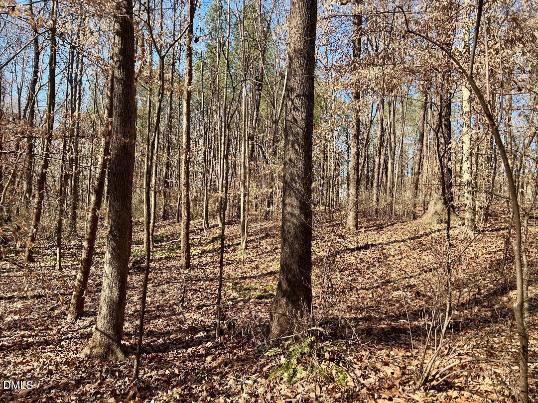 1000 Cross Link Road Raleigh, NC 27610 - Photo 28 of 34 thumbnail-49