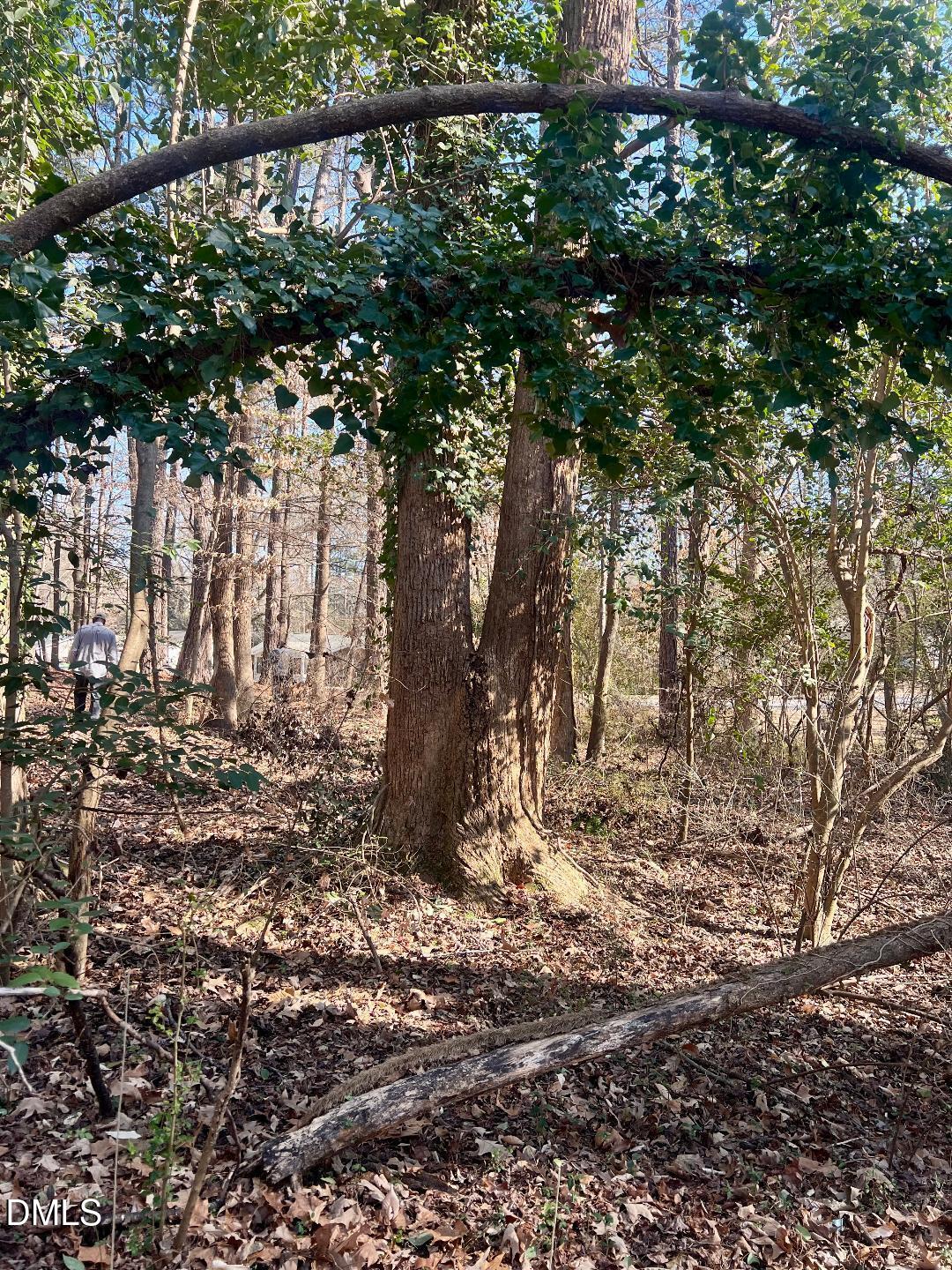 1000 Cross Link Road Raleigh, NC 27610 - Photo 30 of 34 thumbnail-52