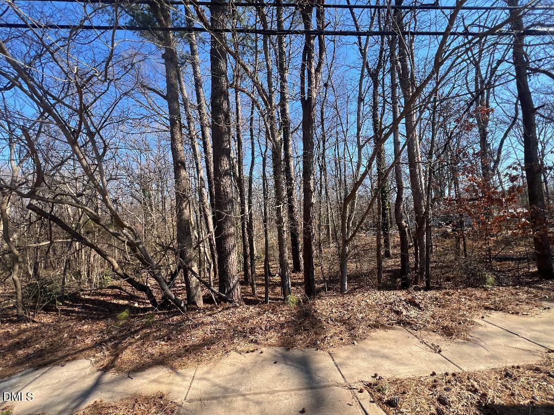 1000 Cross Link Road Raleigh, NC 27610 - Photo 33 of 34 thumbnail-1