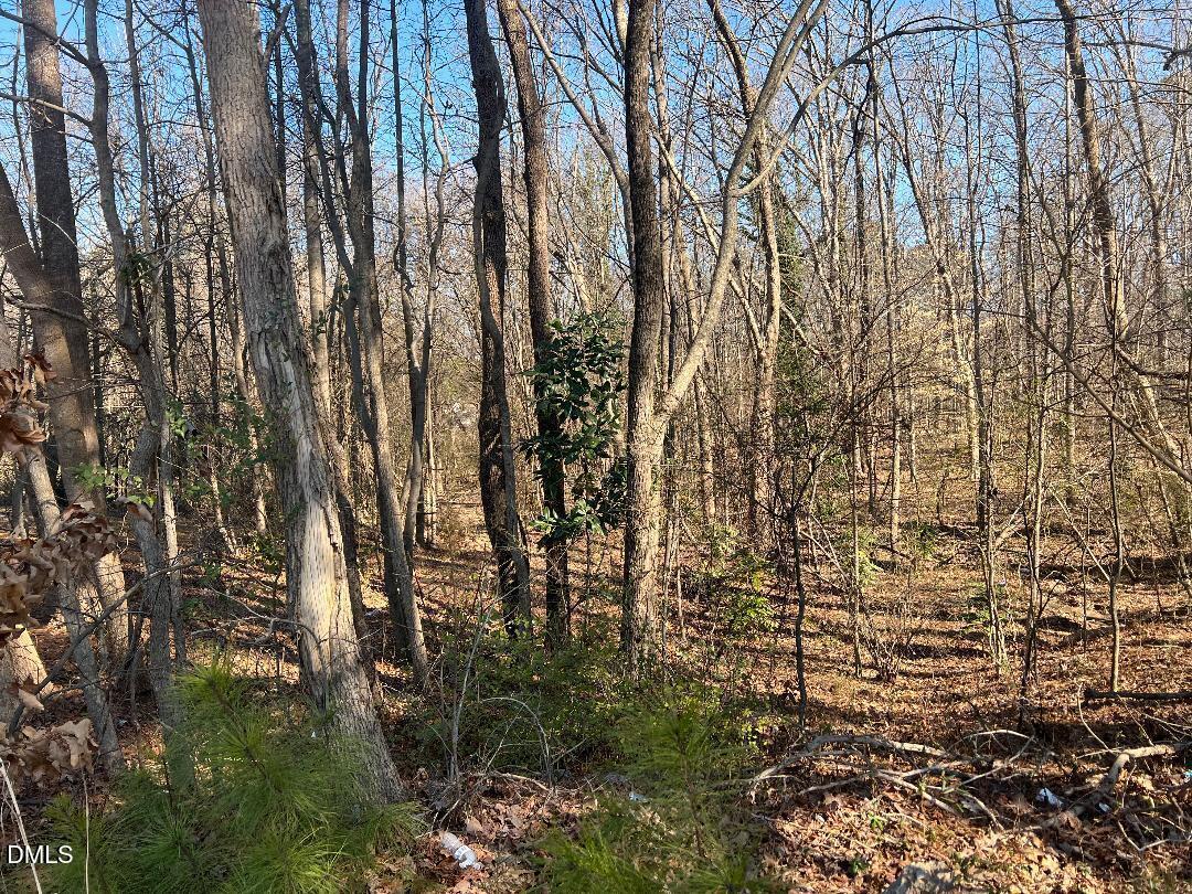 1000 Cross Link Road Raleigh, NC 27610 - Photo 4 of 34 thumbnail-5