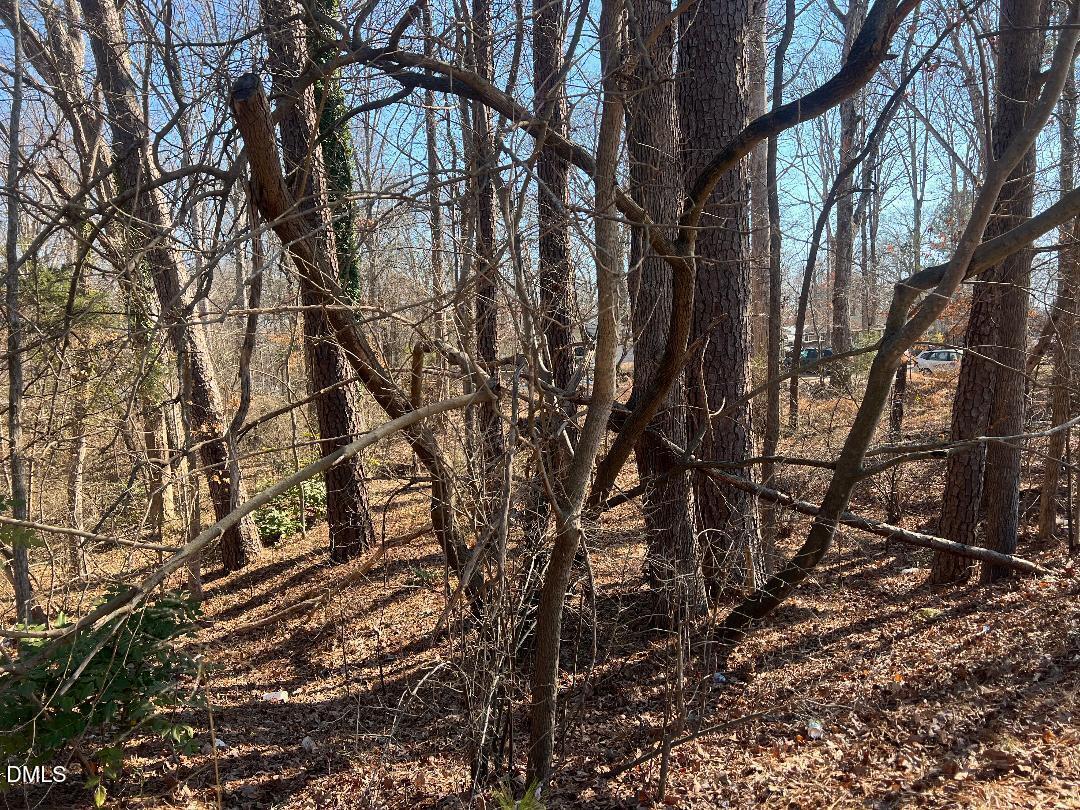 1000 Cross Link Road Raleigh, NC 27610 - Photo 6 of 34 thumbnail-4