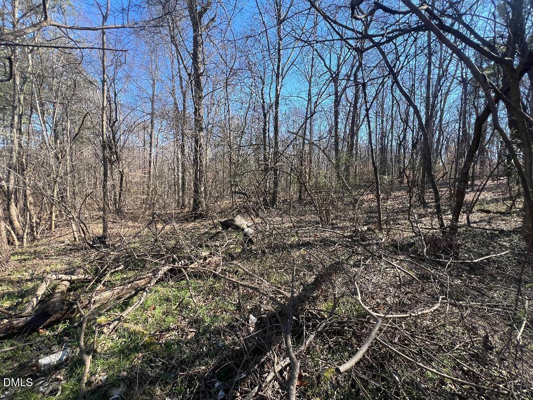 1000 Cross Link Road Raleigh, NC 27610 - Photo 7 of 34 thumbnail-9