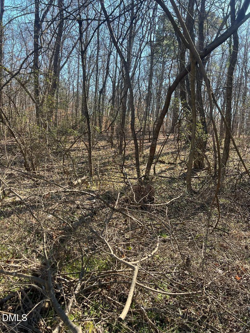 1000 Cross Link Road Raleigh, NC 27610 - Photo 8 of 34 thumbnail-14