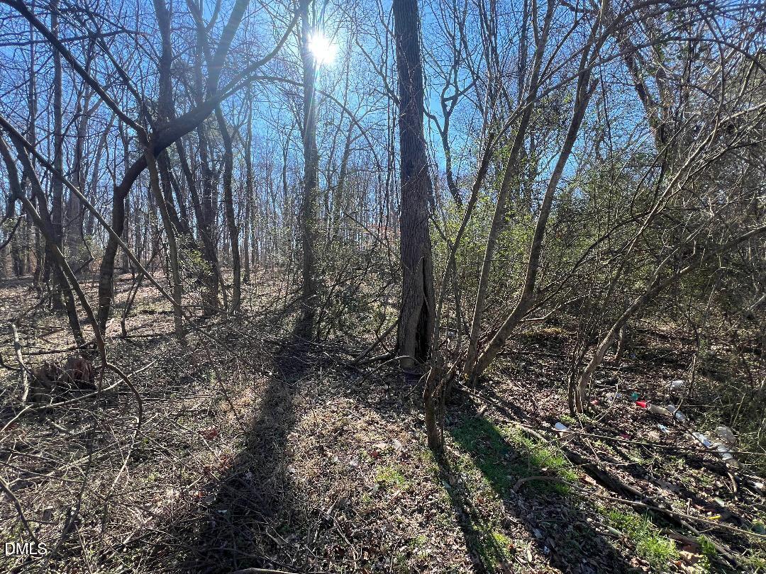 1000 Cross Link Road Raleigh, NC 27610 - Photo 9 of 34 thumbnail-15