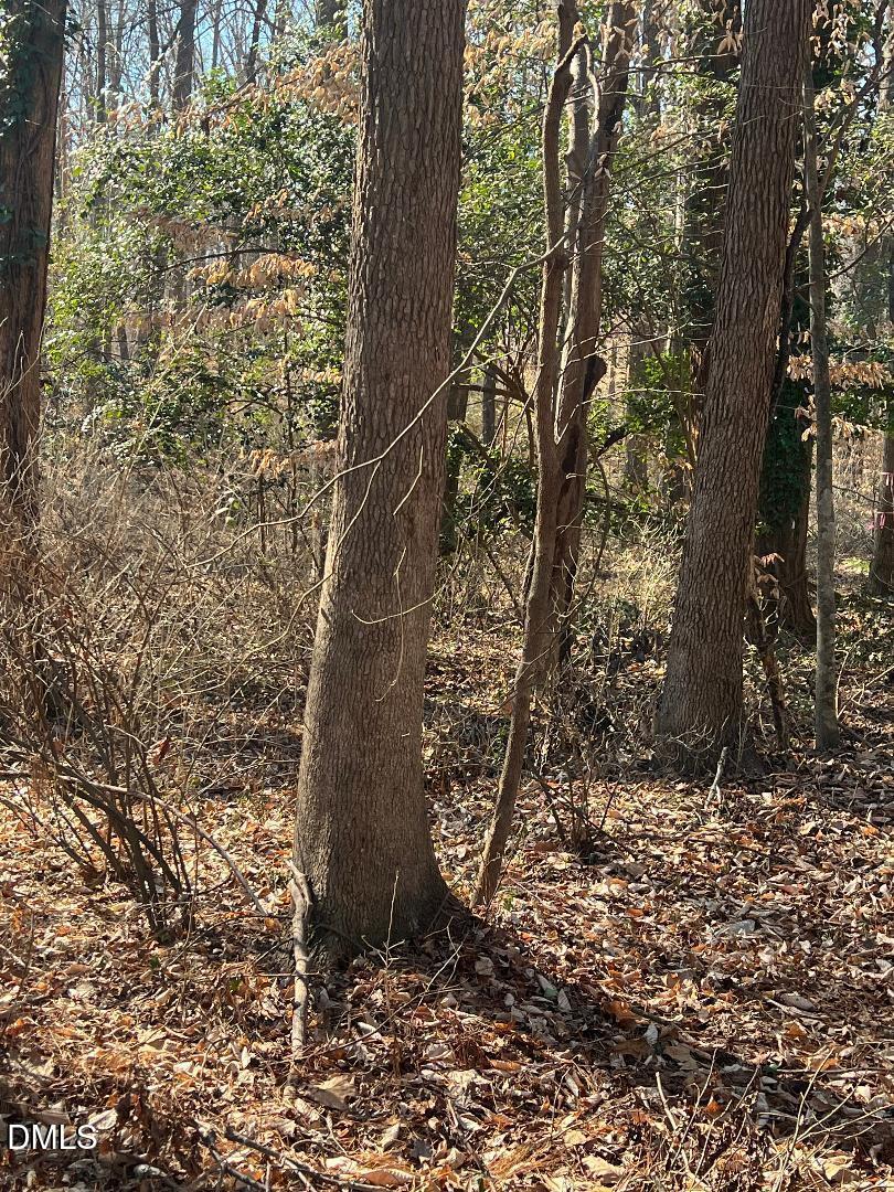 1000 Cross Link Road Raleigh, NC 27610 - Photo 10 of 34 thumbnail-17