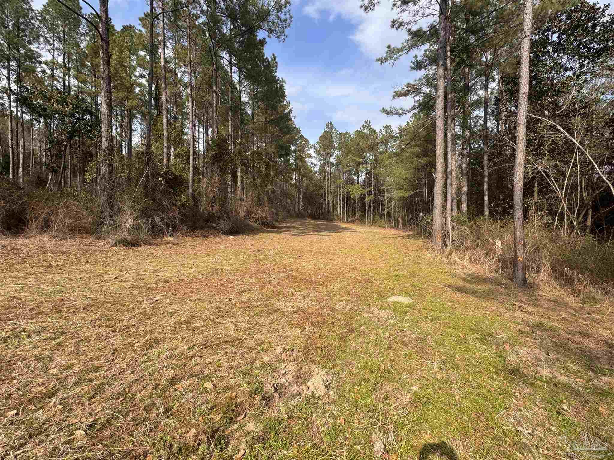 0 Rigby Road Century, FL 32535 - Photo 23 of 63 Gallery Image 23