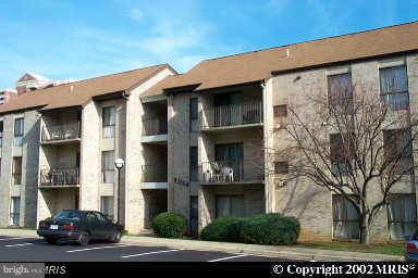 6135 Edsall Road, Unit D Alexandria, VA 22304 - Photo 1 of 1 Exterior (General)