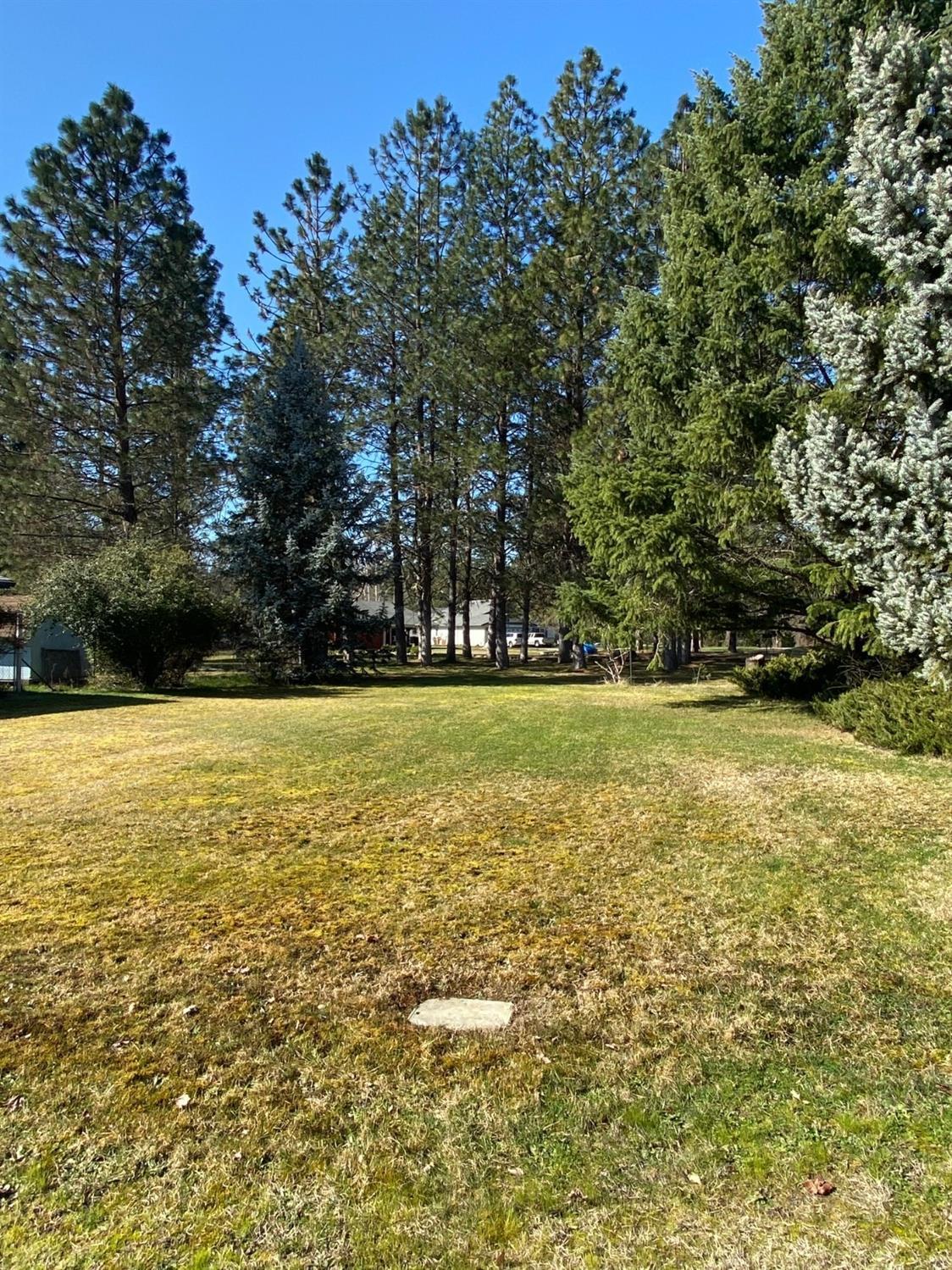 205 Stardust Circle Merlin, OR 97532 - Photo 4 of 34 Additional Photo