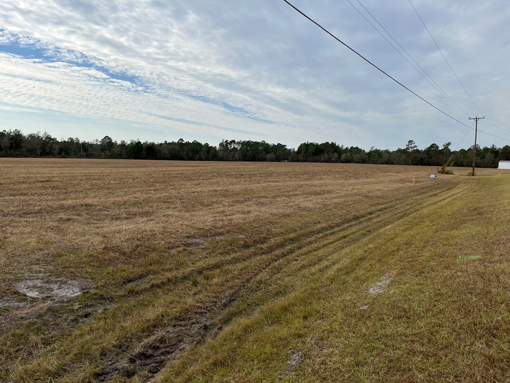 0 Moore Road Valdosta, GA 31605 - Photo 6 of 8 Gallery Image 6