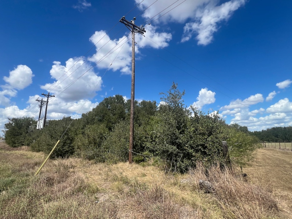 Tbd West Pierce Street Luling, TX 78648 - Photo 6 of 10 a view of a flower in a yard