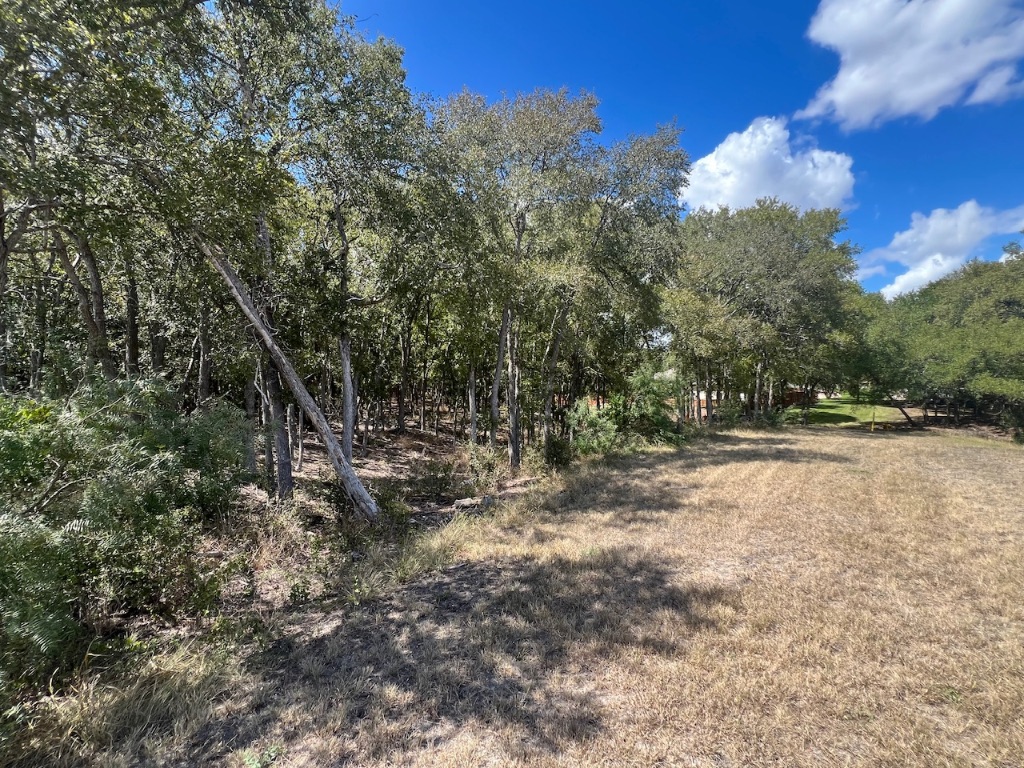 Tbd West Pierce Street Luling, TX 78648 - Photo 7 of 10 a view of a yard with a tree