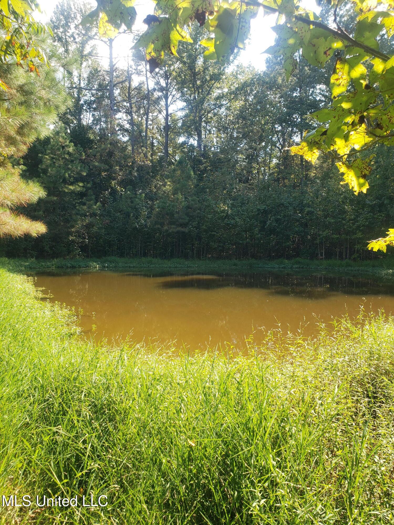 2313 South Frontage Road Clinton, MS 39056 - Photo 3 of 7 Pond