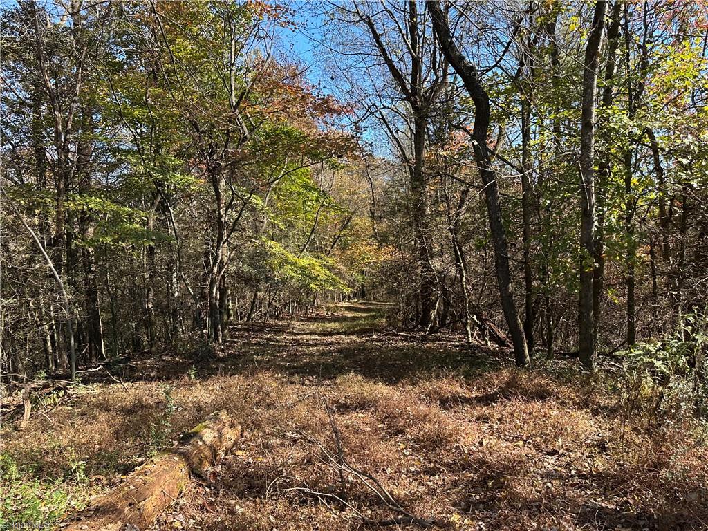 2547 Wiles Ridge Road Hays, NC 28635 - Photo 22 of 24