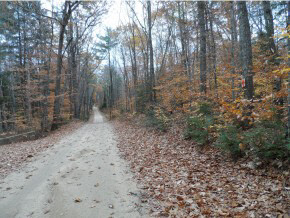 Lot 60 Pineo Road Center Barnstead, NH 03225 - Photo 1 of 6