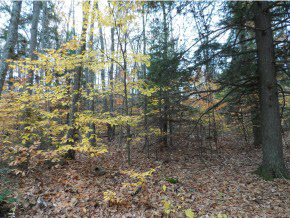 Lot 60 Pineo Road Center Barnstead, NH 03225 - Photo 4 of 6