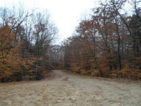 Lot 60 Pineo Road Center Barnstead, NH 03225 - Photo 5 of 6