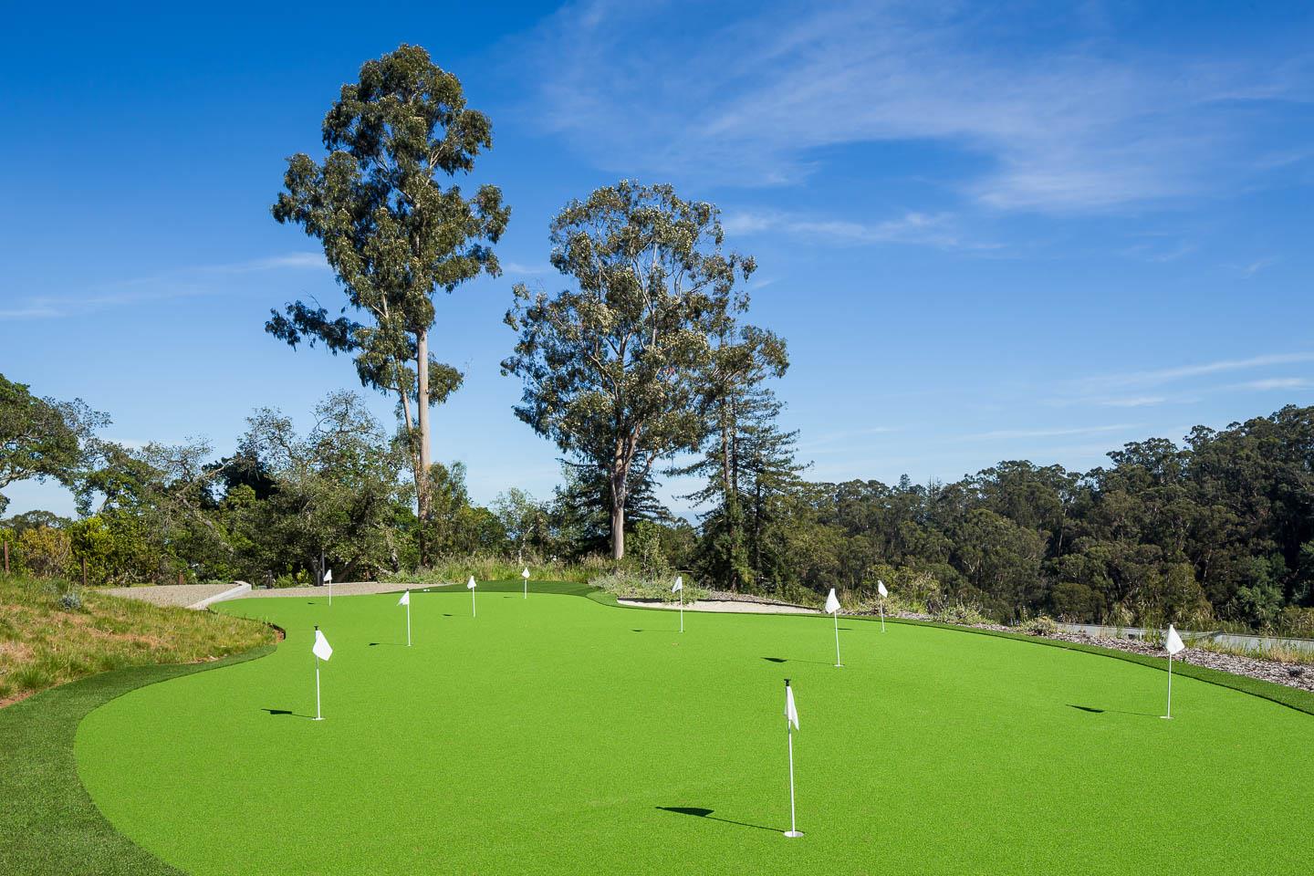 455 Pinehill Road Hillsborough, CA 94010 - Photo 30 of 33 a view of a golf course with a tree