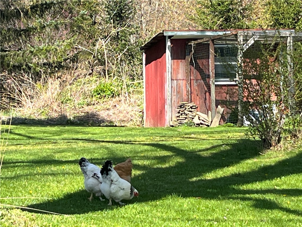 4427 Boynton Road Walworth, NY 14568 - Photo 35 of 49 The chicken coop - and a few of the chickens!