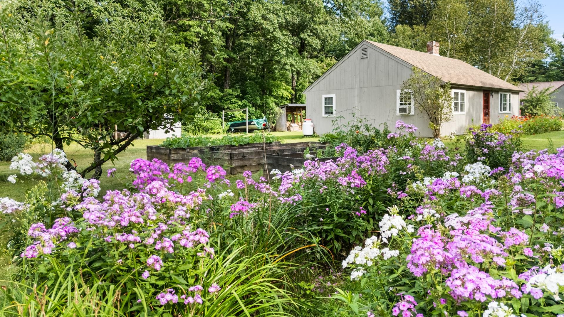 224 South Bennington Road Bennington, NH 03442 - Photo 51 of 59 Gallery Image 51
