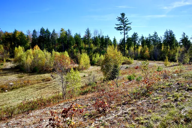 $359,000 | 780 Spring Bridge Road, Greenbush, ME 04418