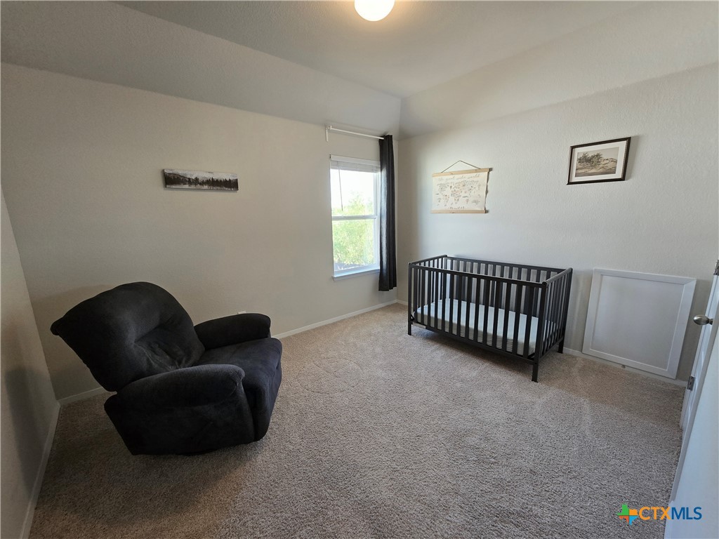 236 Blue Agate Court Jarrell, TX 76537 - Photo 13 of 21
