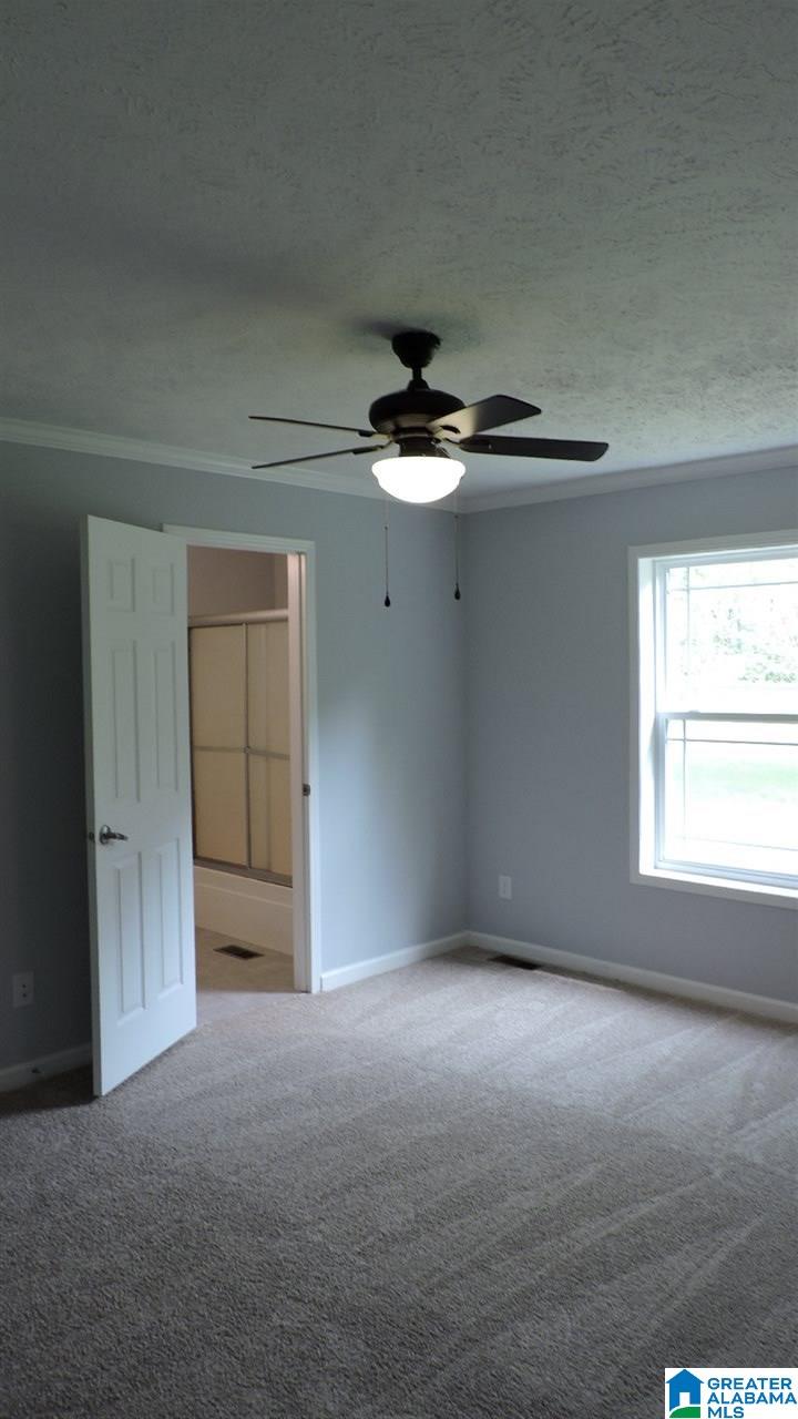 14284 Rockhouse Road Brookwood, AL 35444 - Photo 27 of 30