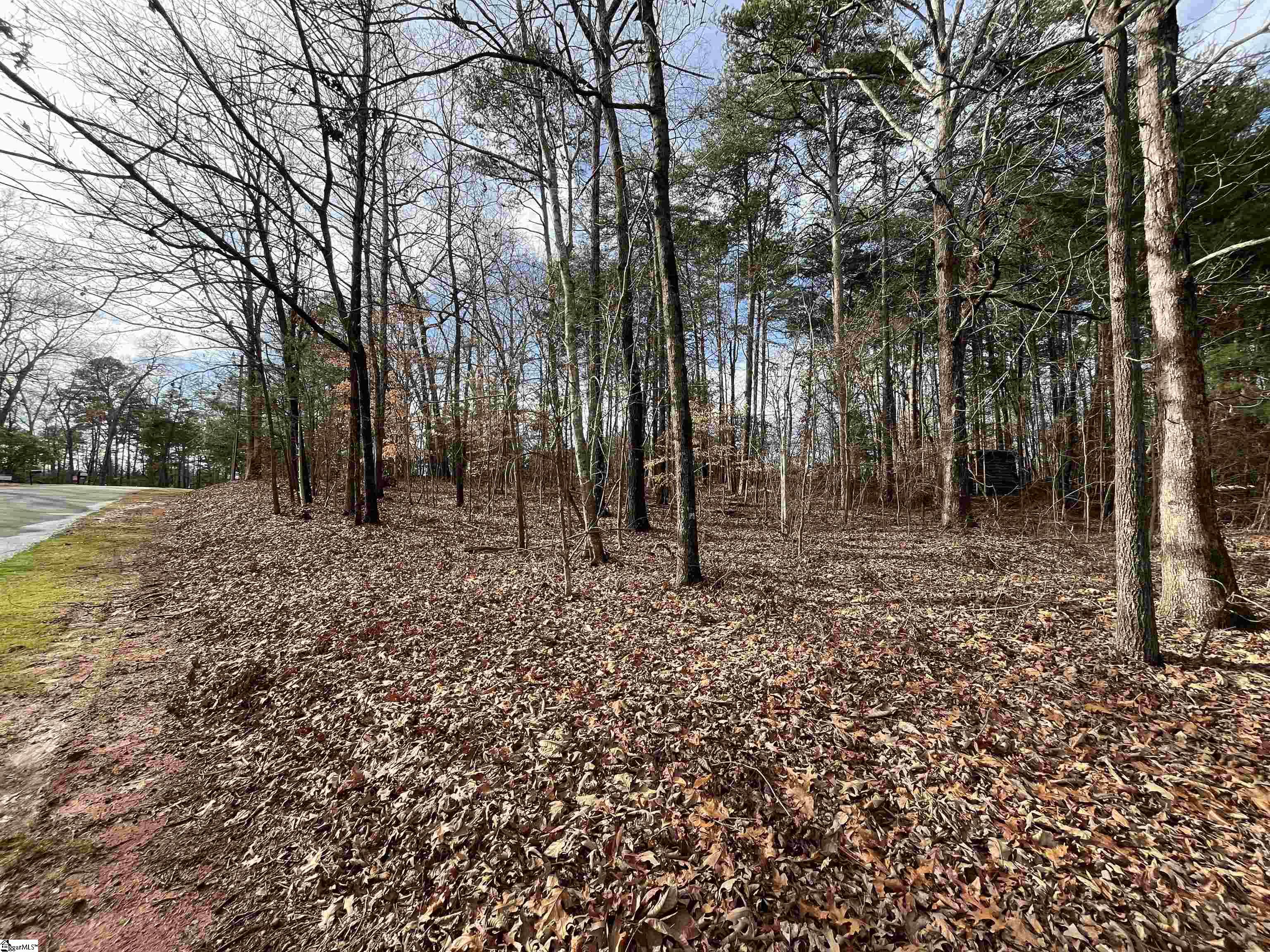 Tbd Tbd Pintail Road, Unit LOT 25 PINTAIL ROAD Anderson, SC 29626 - Photo 1 of 14 Gallery Image 1