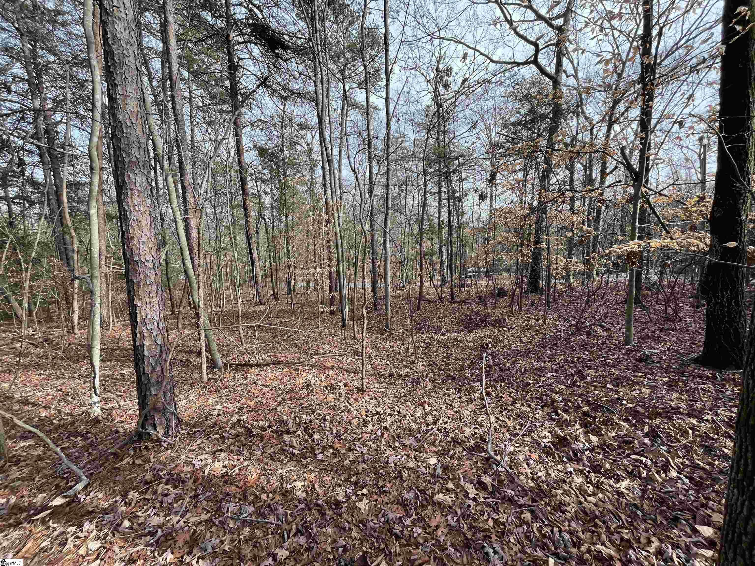 Tbd Tbd Pintail Road, Unit LOT 25 PINTAIL ROAD Anderson, SC 29626 - Photo 3 of 14 Gallery Image 3