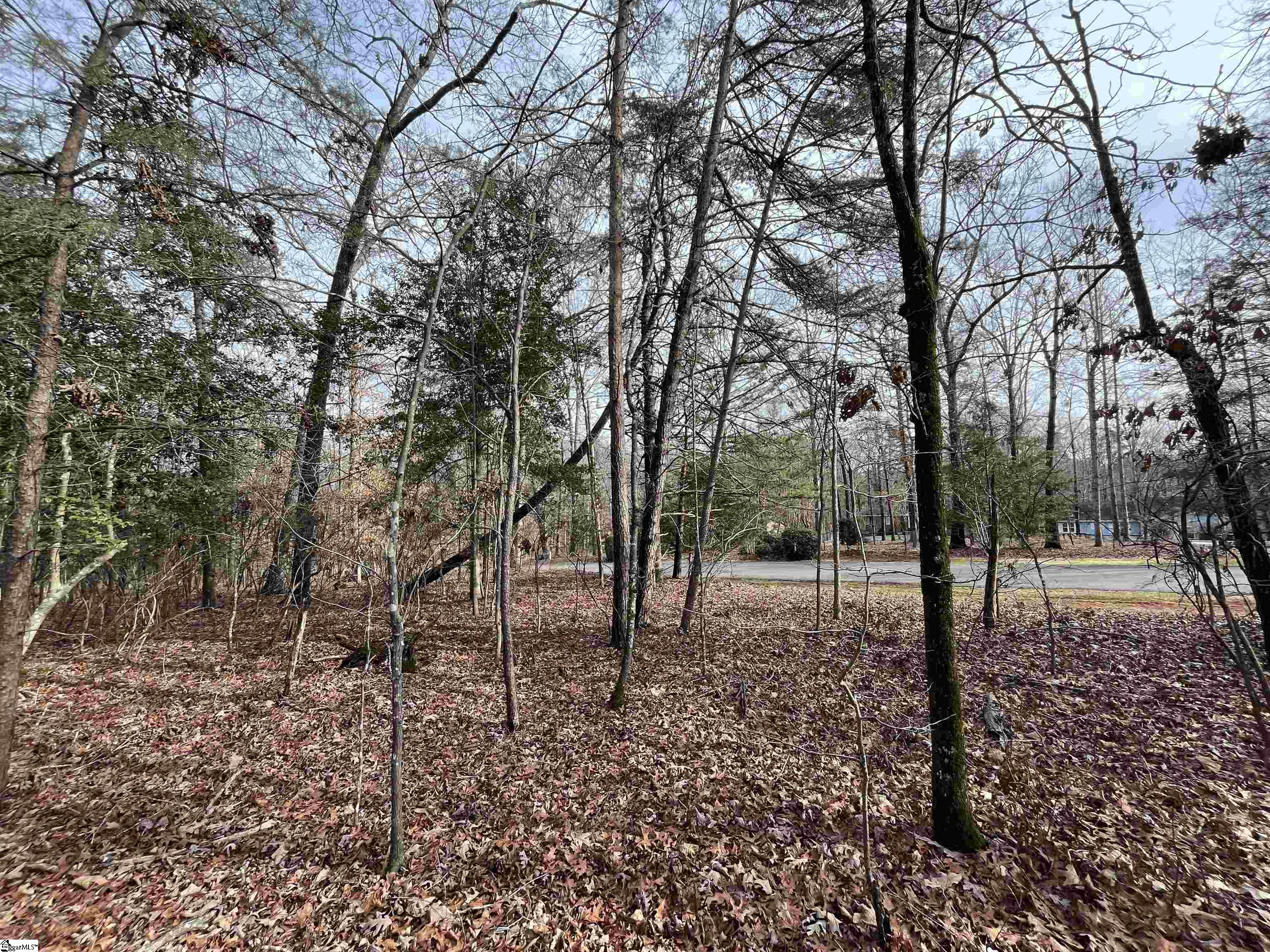 Tbd Tbd Pintail Road, Unit LOT 25 PINTAIL ROAD Anderson, SC 29626 - Photo 6 of 14 Gallery Image 6