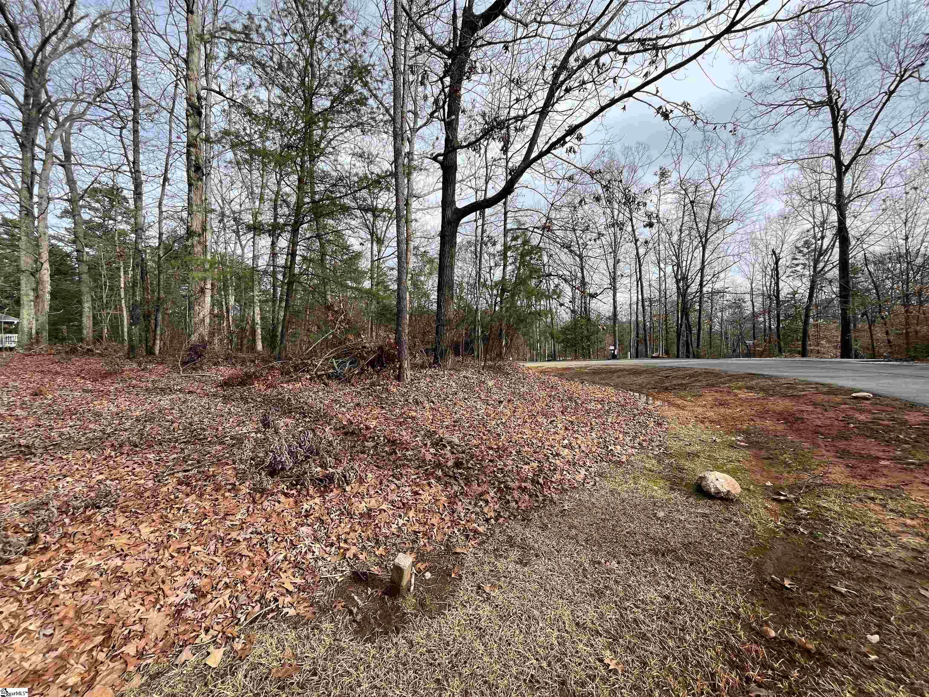 Tbd Tbd Pintail Road, Unit LOT 25 PINTAIL ROAD Anderson, SC 29626 - Photo 7 of 14 Gallery Image 7