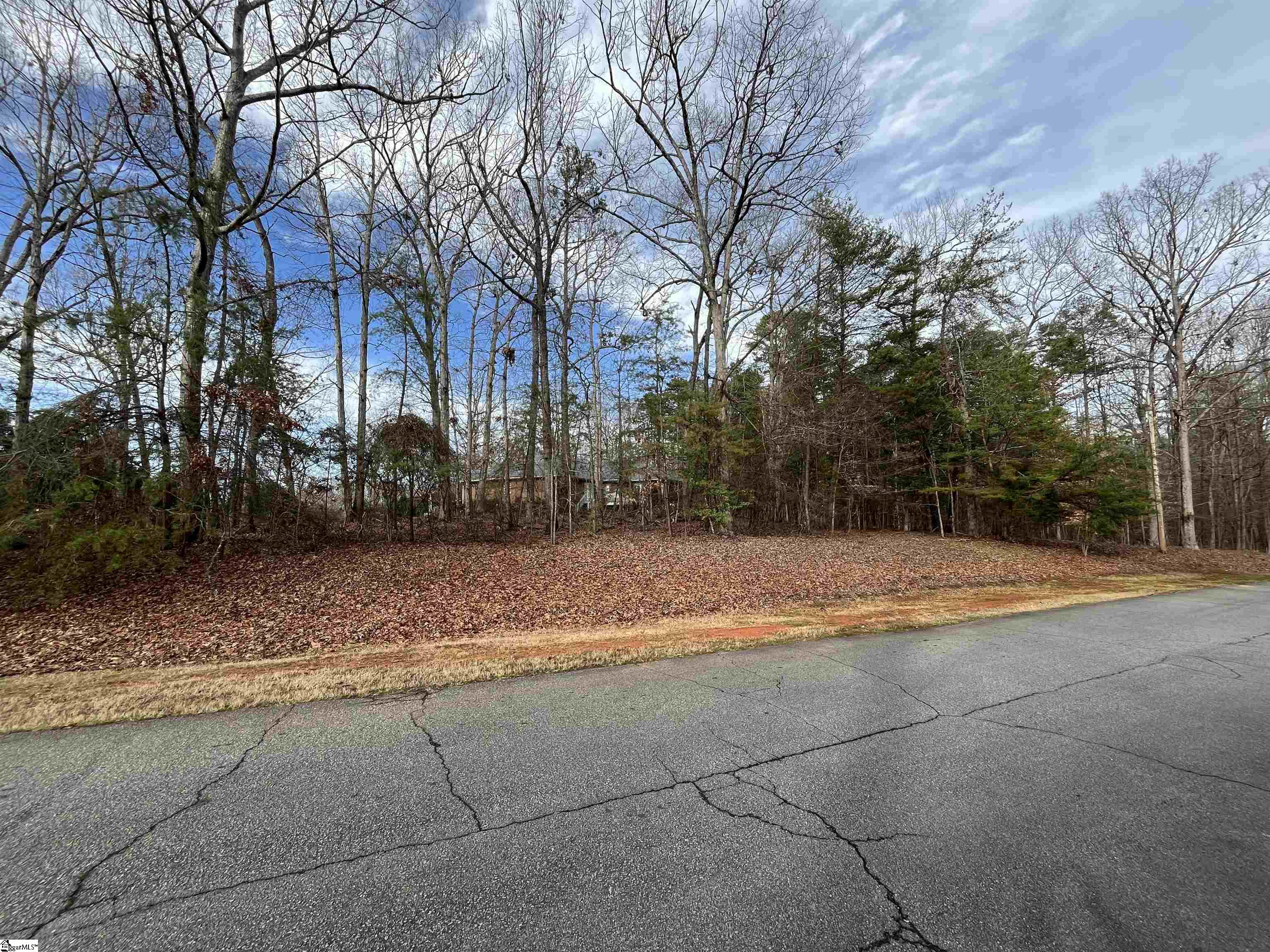 Tbd Tbd Pintail Road, Unit LOT 25 PINTAIL ROAD Anderson, SC 29626 - Photo 8 of 14 Gallery Image 8