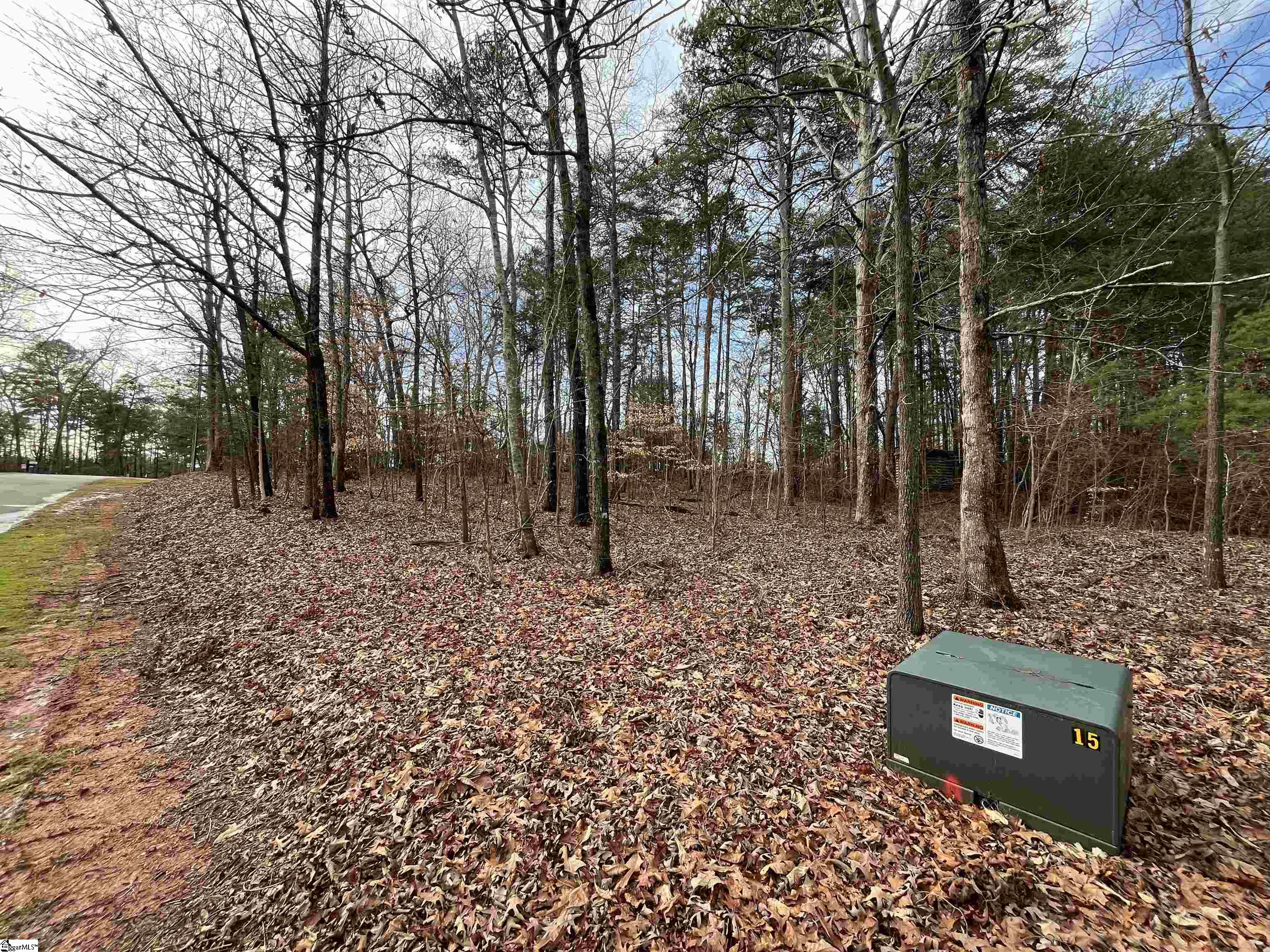 Tbd Tbd Pintail Road, Unit LOT 25 PINTAIL ROAD Anderson, SC 29626 - Photo 10 of 14 Gallery Image 10