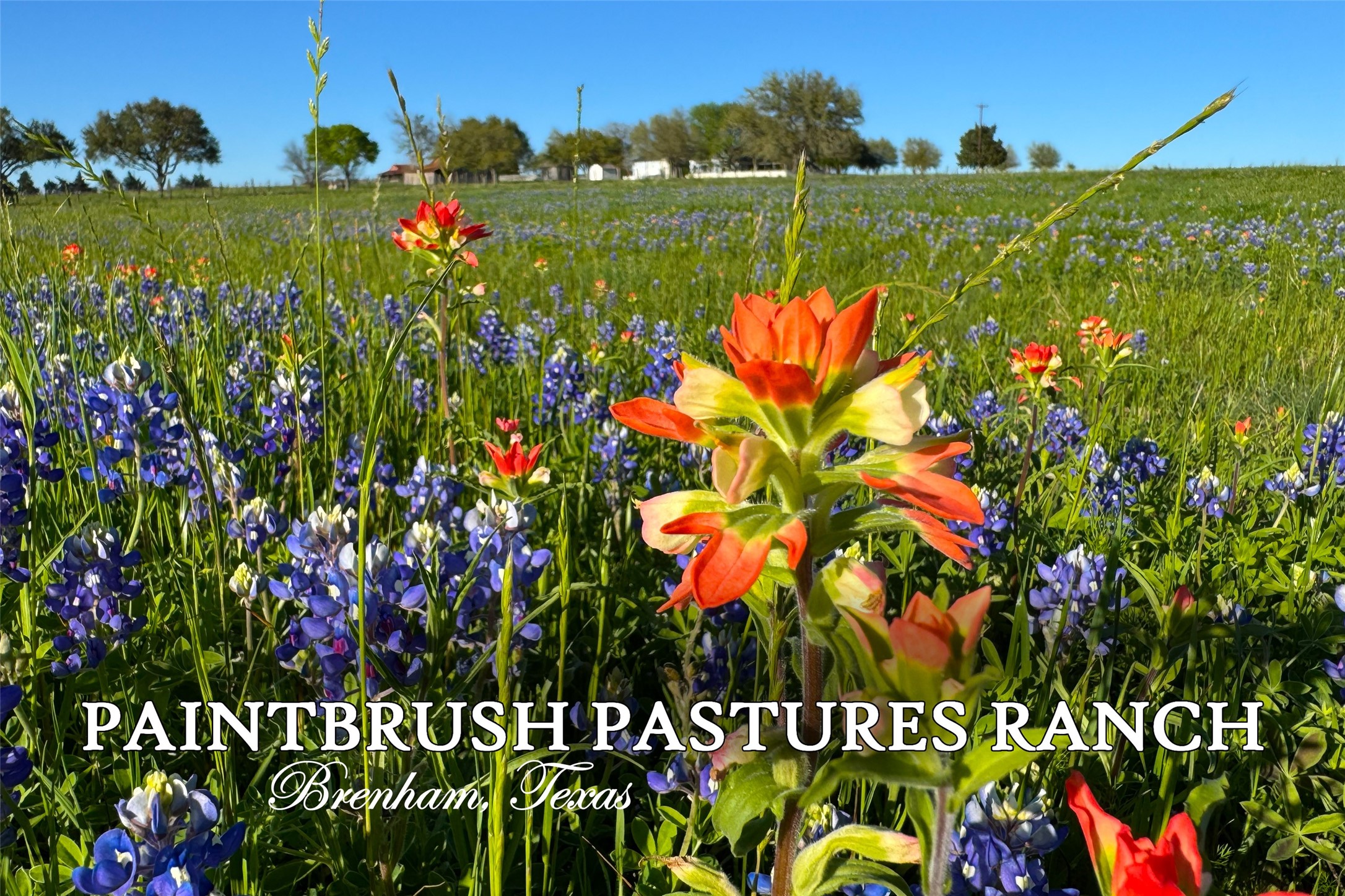 9058 Sam Houston Road Brenham, TX 77833 - Photo 1 of 48
