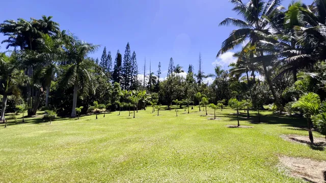 $975,000 | 29-3707 Kanna Road, Papaikou, HI 96781