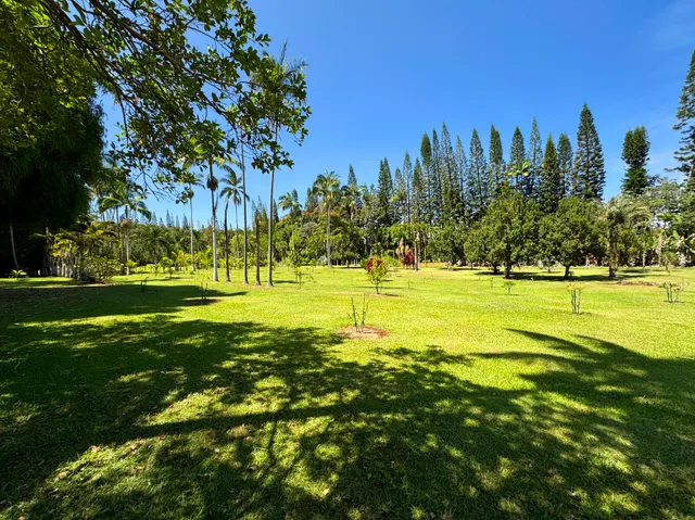 $975,000 | 29-3707 Kanna Road, Papaikou, HI 96781