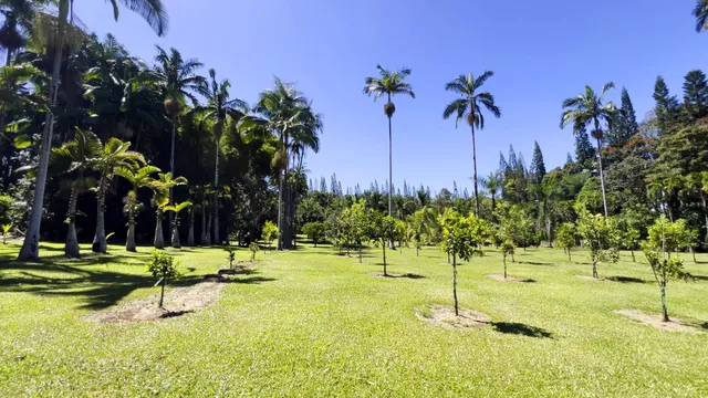 $975,000 | 29-3707 Kanna Road, Papaikou, HI 96781