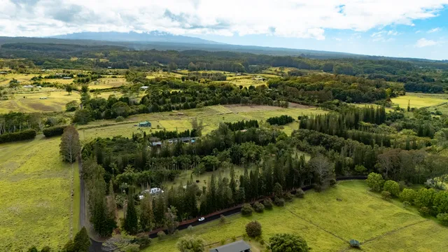 $975,000 | 29-3707 Kanna Road, Papaikou, HI 96781