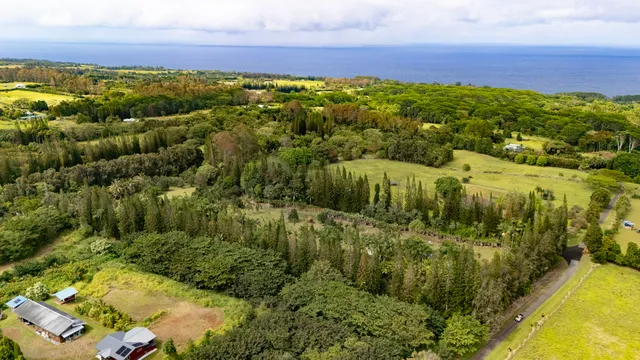 $975,000 | 29-3707 Kanna Road, Papaikou, HI 96781