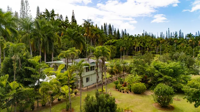 $975,000 | 29-3707 Kanna Road, Papaikou, HI 96781